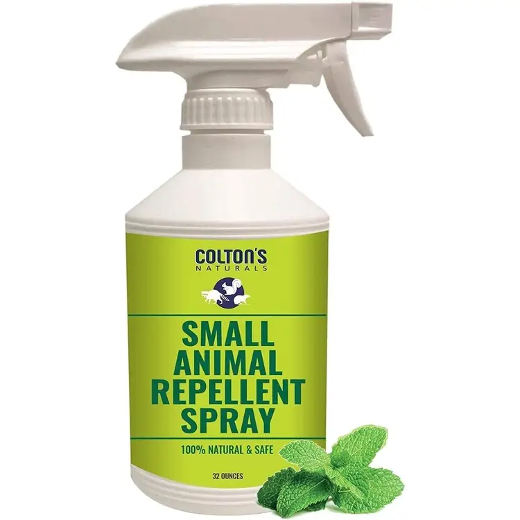 natural rodent repellent spray 750x750.webp