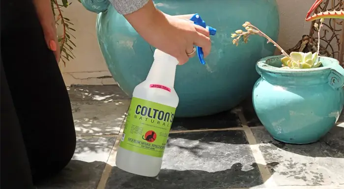 outdoor spray banner